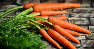 गाजर उगाने का तरीका