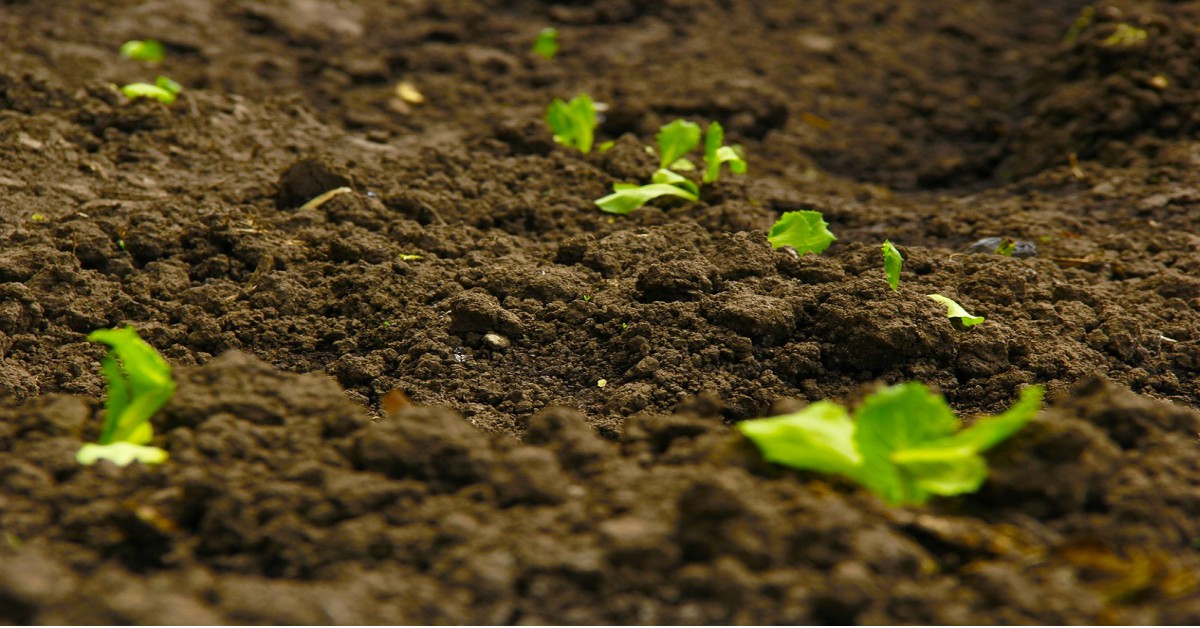 मिट्टी का पीएच – Soil pH Information in Hindi
